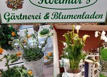 Bild zu Hoetmar's Gärtnerei & Blumenladen