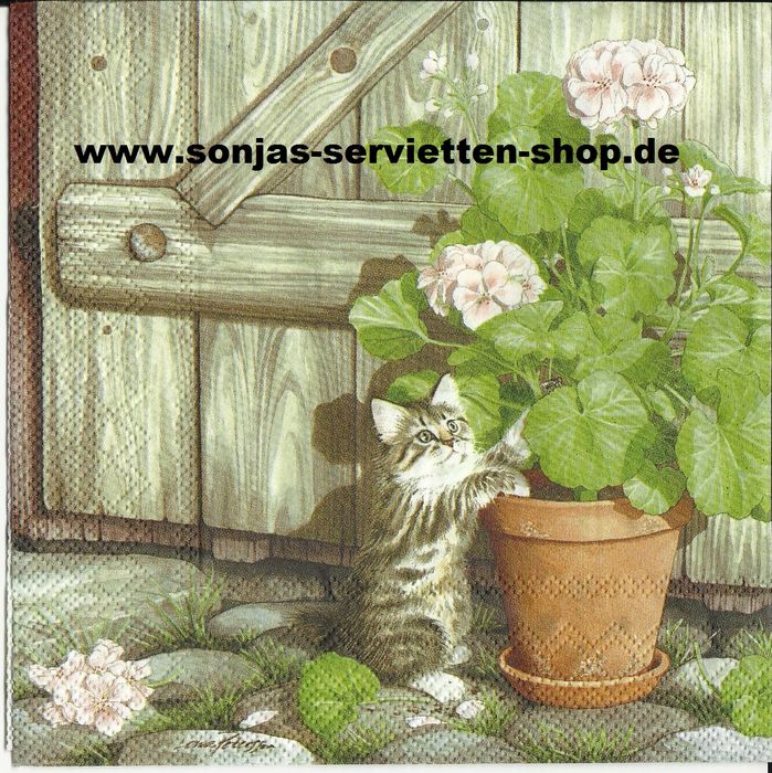 Serviettenhandel Sonja Köhn
