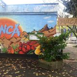 Finca in Hannover