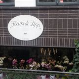 Fleurs de Lipp - Manfred Lipphardt in Hannover
