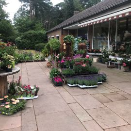 Blumen Arkarde in Bielefeld