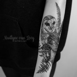 Schleiereule Tattoo von Madlyne van Looy Tattoo &amp; Art in Velbert-Langenberg