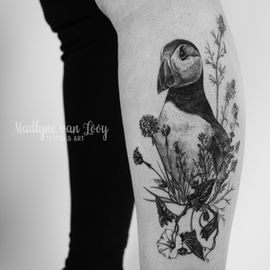 Papageientaucher Tattoo von Madlyne van Looy Tattoo &amp; Art in Velbert-Langenberg