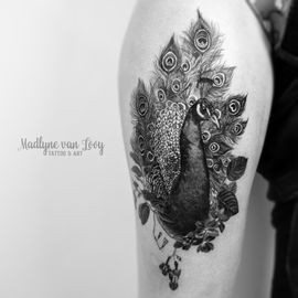 Blauer Pfau Tattoo von Madlyne van Looy Tattoo &amp; Art in Velbert-Langenberg