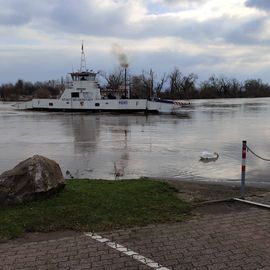 Mainfähre "Stadt Seligenstadt" in Seligenstadt