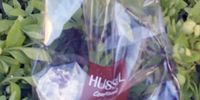 Nutzerfoto 5 Hussel GmbH