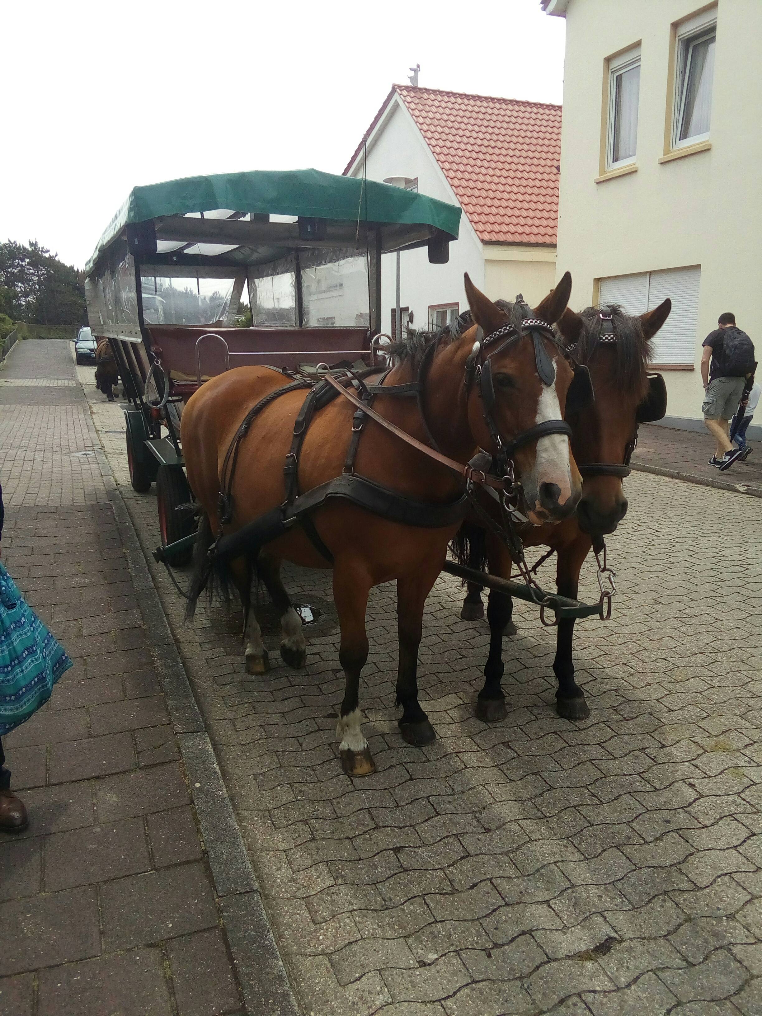 Bild 4 Akkermann jun. in Borkum