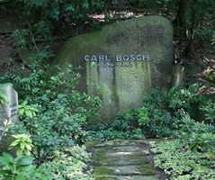 Bild zu Carl-Bosch-Museum und Museum am Ginkgo