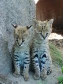 Nutzerbilder Zoo Osnabrück gGmbH