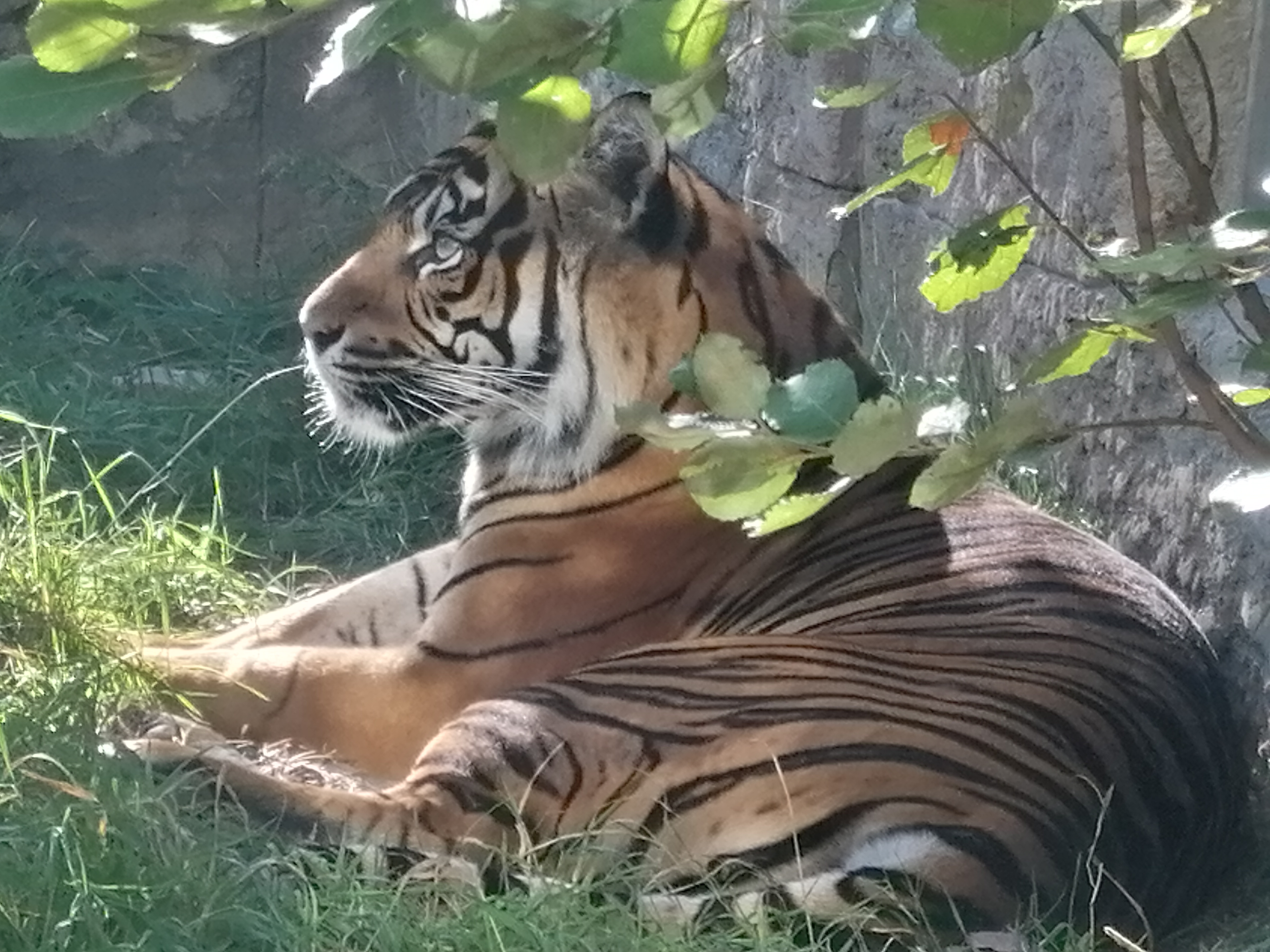 Bild 67 Zoo Osnabrück gGmbH in Osnabrück