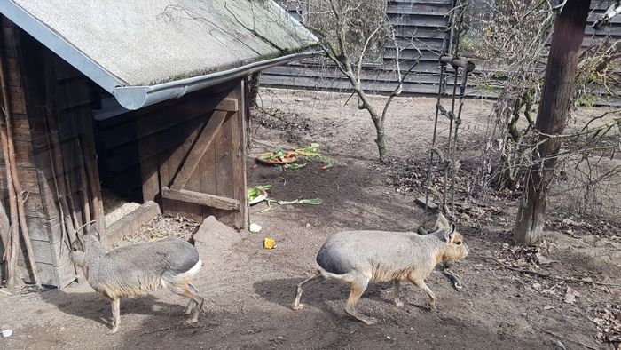 Solinger Vogel- und Tierpark