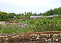 Bild zu Stiftung Botanischer Garten Solingen e.V.