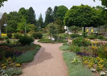 Bild zu Stiftung Botanischer Garten Solingen e.V.