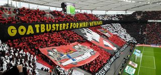 Bild zu Bayer 04 Leverkusen Fußball GmbH