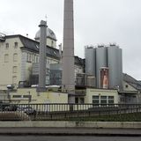 Brauerei Gold Ochsen GmbH in Ulm an der Donau