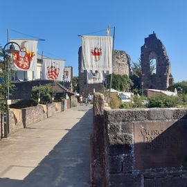 Burg Hayn in Dreieich