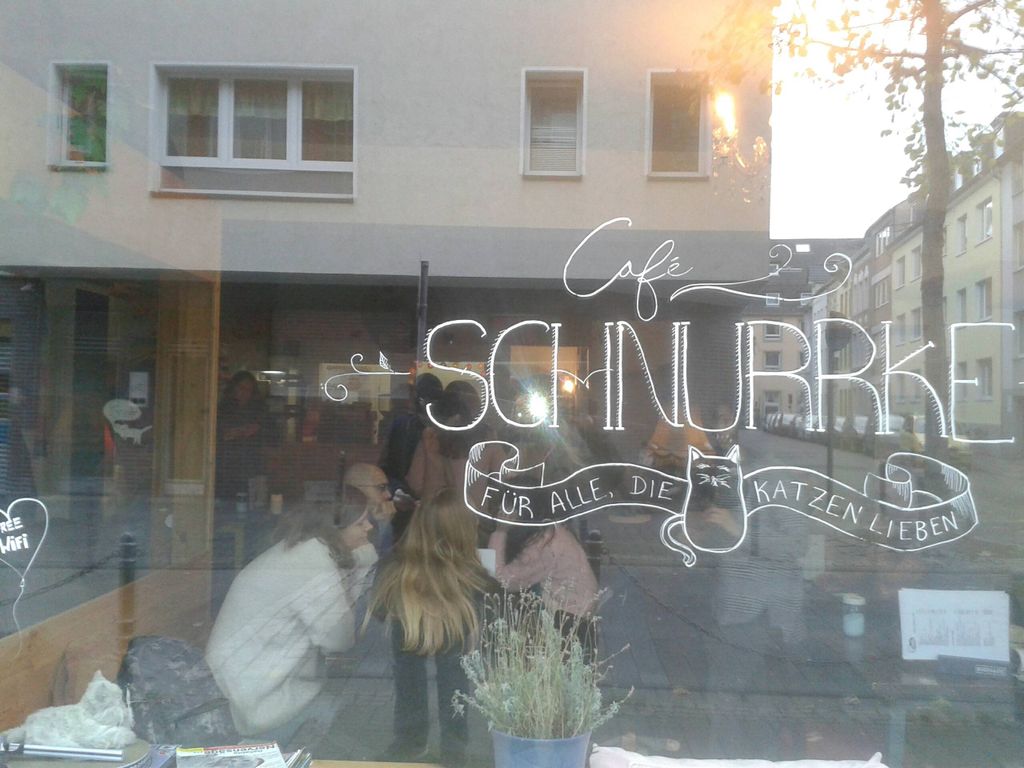 Nutzerfoto 8 Café Schnurrke