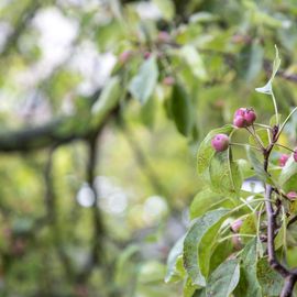 Immanuel Suchtberatung Außensprechstunde Zella-Mehlis in Zella-Mehlis