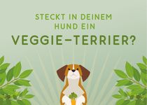 Bild zu naftie Naturkost GmbH - Bio Hundefutter