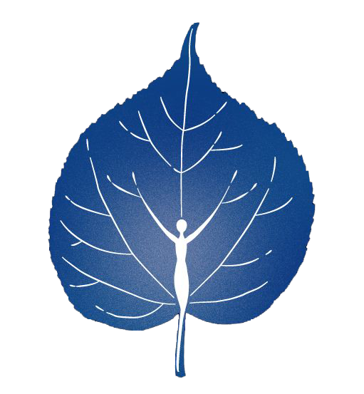 Logo Praxis für ganzheitliche Diagnostik und Therapie Heilpraktikerin Linda Reinholz
