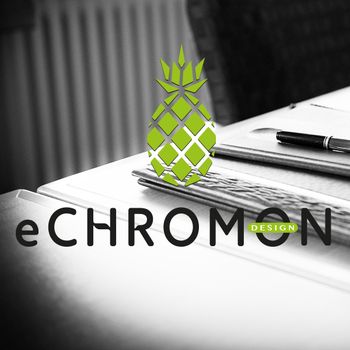 Logo von eCHROMON design in Nürnberg