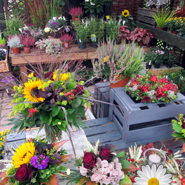 der Blumenhofladen Wolfenbüttel