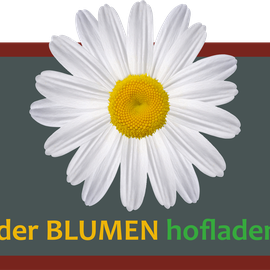 Der Blumenhofladen, Bärbel Wofleben in Wolfenbüttel