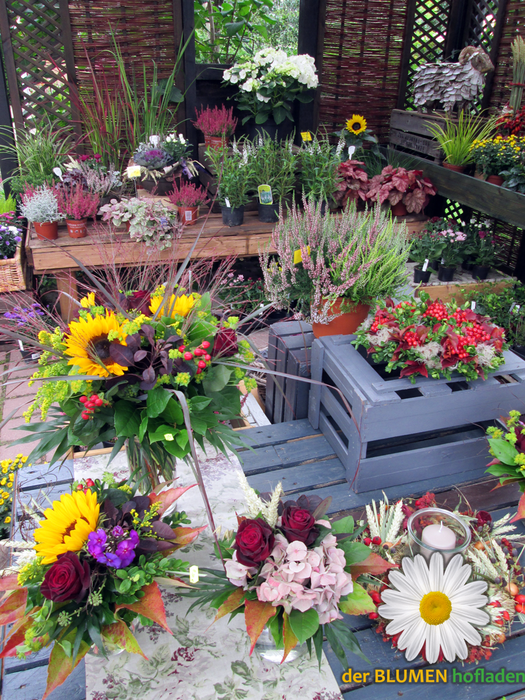 der Blumenhofladen Wolfenbüttel