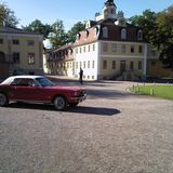 Schloss und Park Belvedere in Weimar in Thüringen