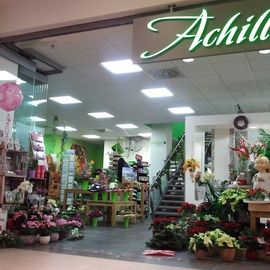 Achillea Dein Blumenladen HEP in Halle an der Saale