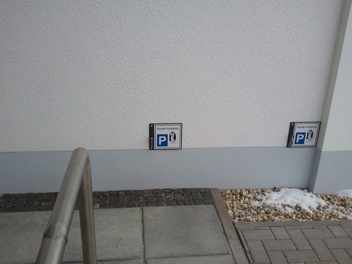 Hundeparkplatz