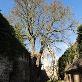 Evangelisches Stift Kloster Zehdenick in Zehdenick