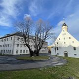 Torstensson-Linde in Freiberg in Sachsen