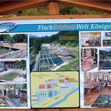 Fischzucht Königssee GmbH & Co. KG in Königssee Gemeinde Schönau