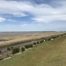 Aussichtsplattform Markelsdorfer Huk in Fehmarn