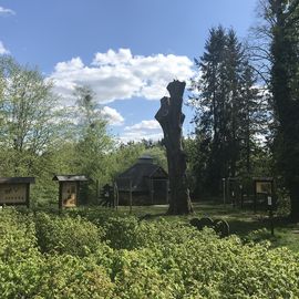 Waldschule Jägerhaus in Schorfheide