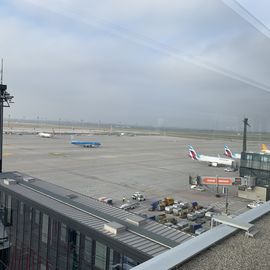 Flughafen Berlin Brandenburg (BER) - Willy Brandt in Schönefeld bei Berlin