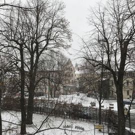 Blick aus dem Fenster