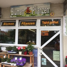 Blumen und Pflanzen in Hohen Neuendorf