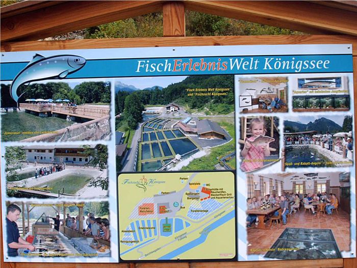 Fischzucht Königssee GmbH & Co. KG