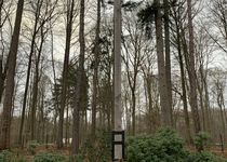 Bild zu Ehrenfriedhof für die Toten der Cap Arcona- und Thielbek-Katastrophe