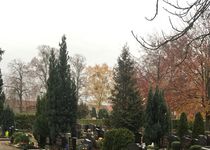 Bild zu Friedhof