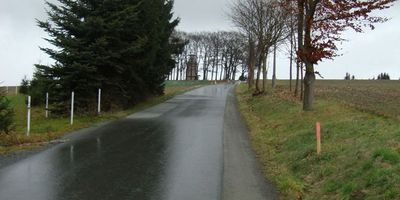 Bismarckturm / Bismarcksäule Markneukirchen in Markneukirchen