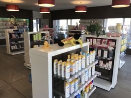 Bild zu Steinbock Apotheke Dr. Homann OHG