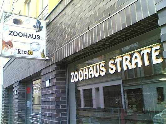 Bild 2 Zoohaus Strate GmbH in Oranienburg