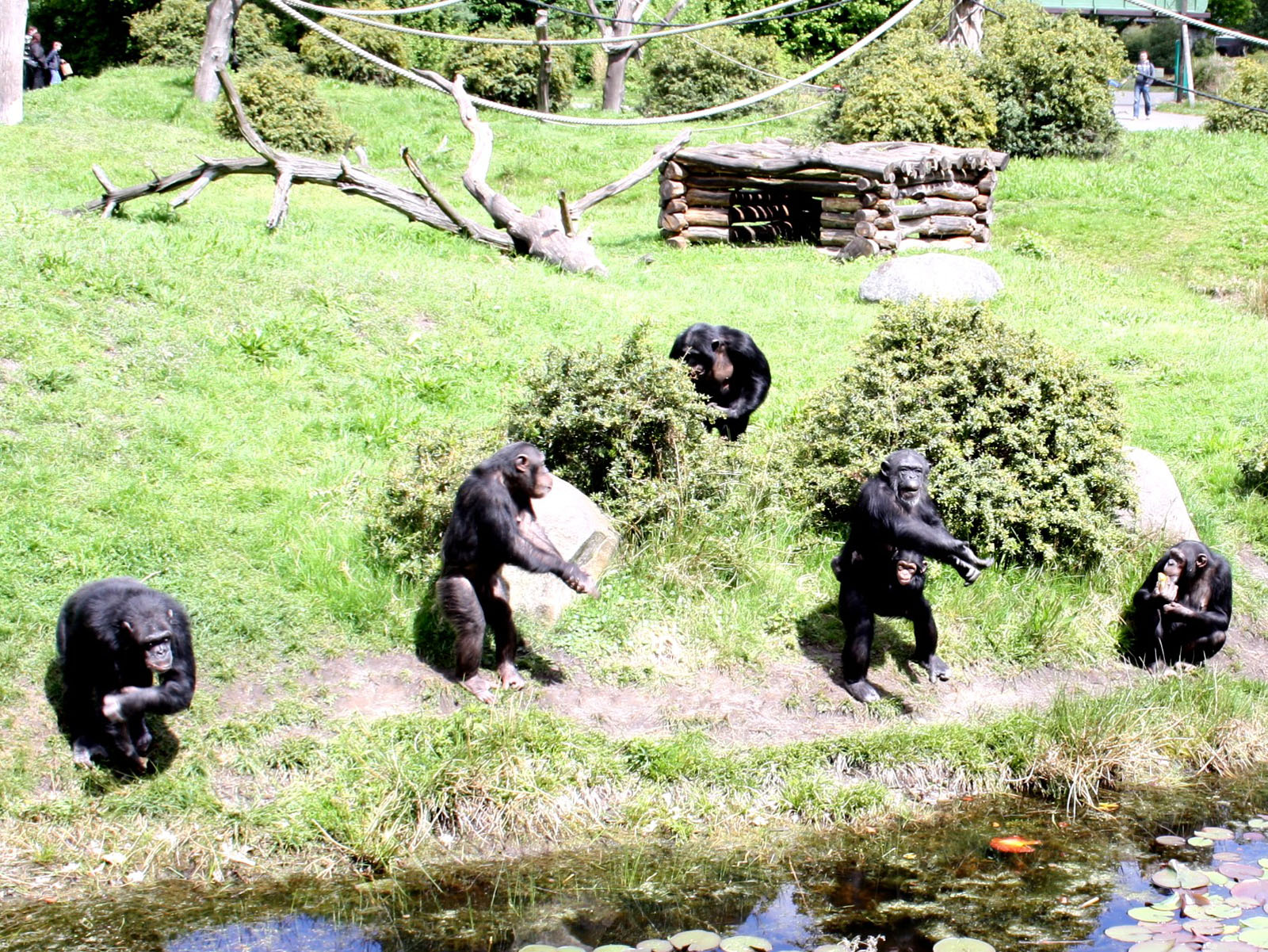 Bild 4 Serengeti-Park Hodenhagen GmbH in Hodenhagen