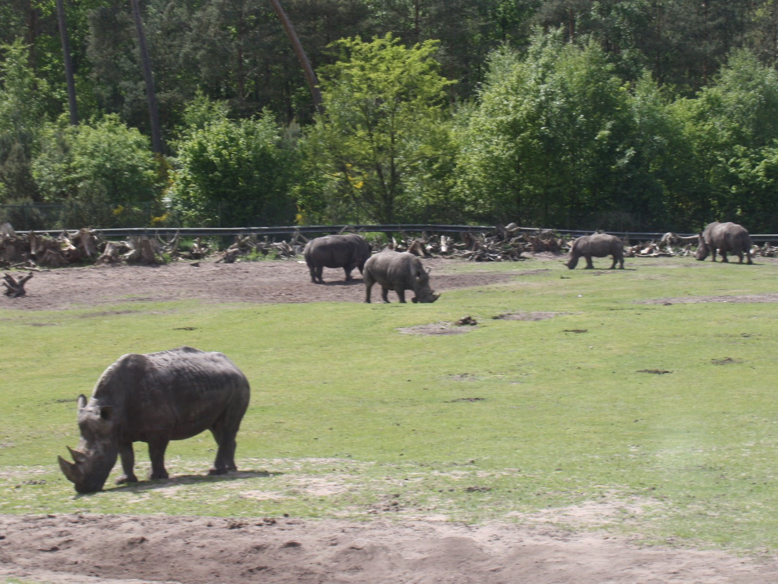 Bild 11 Serengeti-Park Hodenhagen GmbH in Hodenhagen