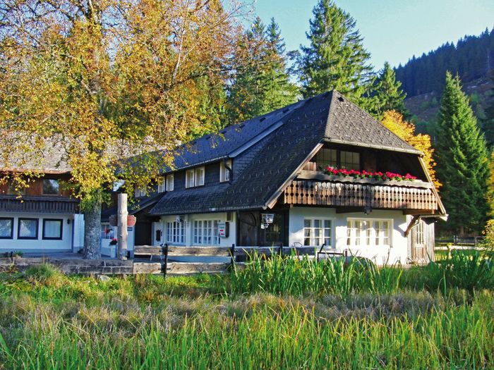 Café & Berg-Beizle 'Zum Kuckuck'