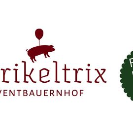 Eventbauernhof Sprikeltrix in Schallern Stadt Erwitte