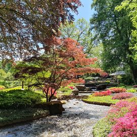 Botanischer Garten Augsburg in Augsburg